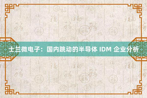 士兰微电子：国内跳动的半导体 IDM 企业分析